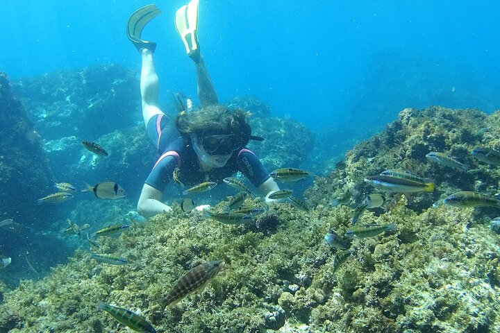 Kajak- og snorkeltur i Cerro Gordo Naturpark, La Herradura