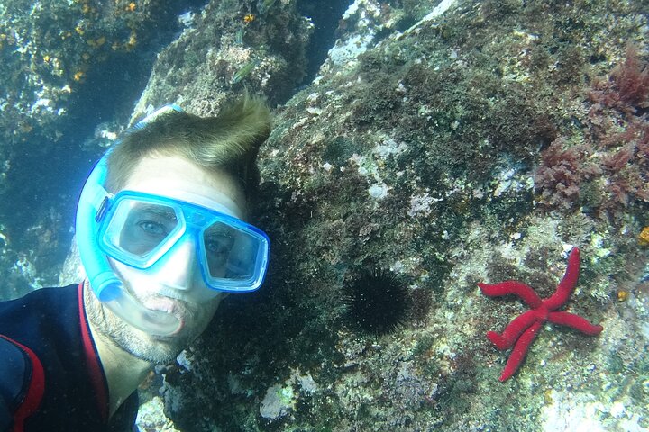 Kajak- og snorkeltur i Cerro Gordo Naturpark, La Herradura