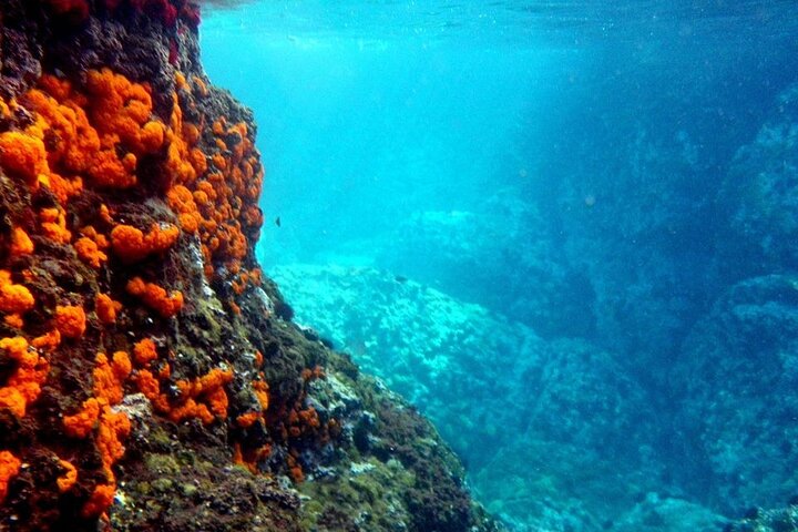 Kajak- og snorkeltur i Cerro Gordo Naturpark, La Herradura