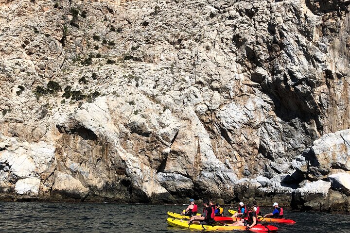 Kajak- og snorkeltur i Cerro Gordo Naturpark, La Herradura
