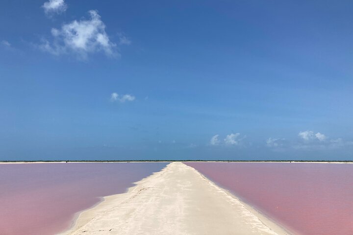 Biglietto d'ingresso al Safari nelle lagune rosa di Las Coloradas