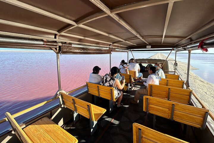 Biglietto d'ingresso al Safari nelle lagune rosa di Las Coloradas