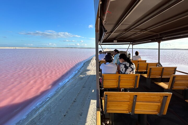 Biglietto d'ingresso al Safari nelle lagune rosa di Las Coloradas
