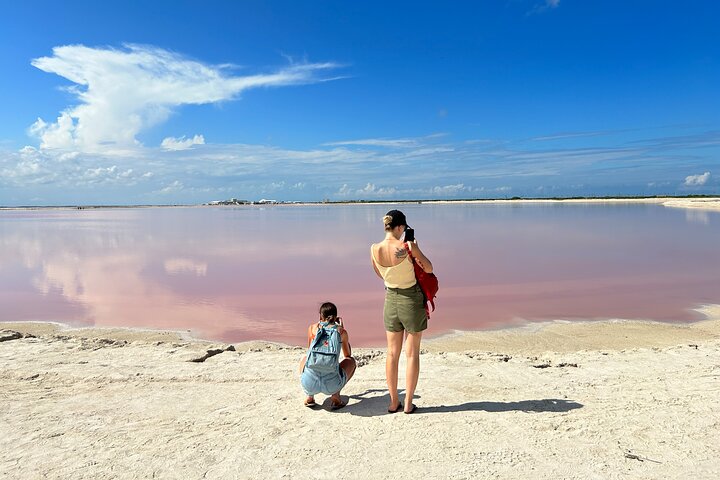 Biglietto d'ingresso al Safari nelle lagune rosa di Las Coloradas