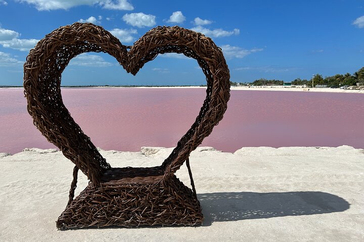 Biglietto d'ingresso al Safari nelle lagune rosa di Las Coloradas