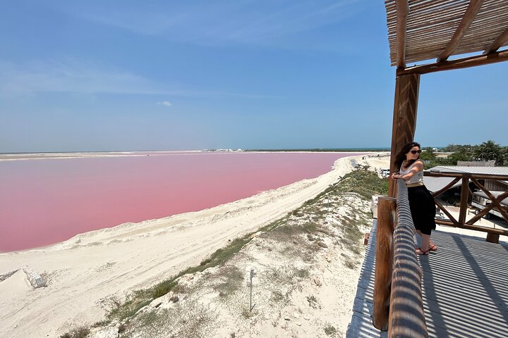 Biglietto d'ingresso al Safari nelle lagune rosa di Las Coloradas