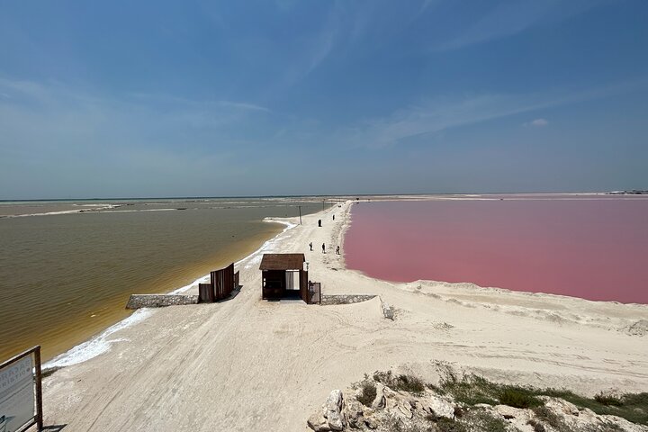 Biglietto d'ingresso al Safari nelle lagune rosa di Las Coloradas