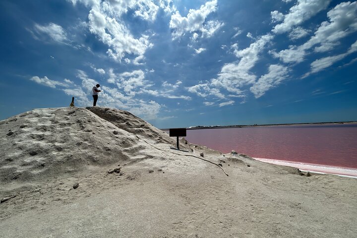 Biglietto d'ingresso al Safari nelle lagune rosa di Las Coloradas