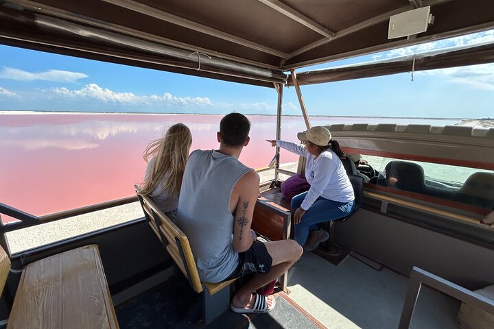 Biglietto d'ingresso al Safari nelle lagune rosa di Las Coloradas
