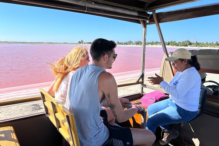 Biglietto d'ingresso al Safari nelle lagune rosa di Las Coloradas