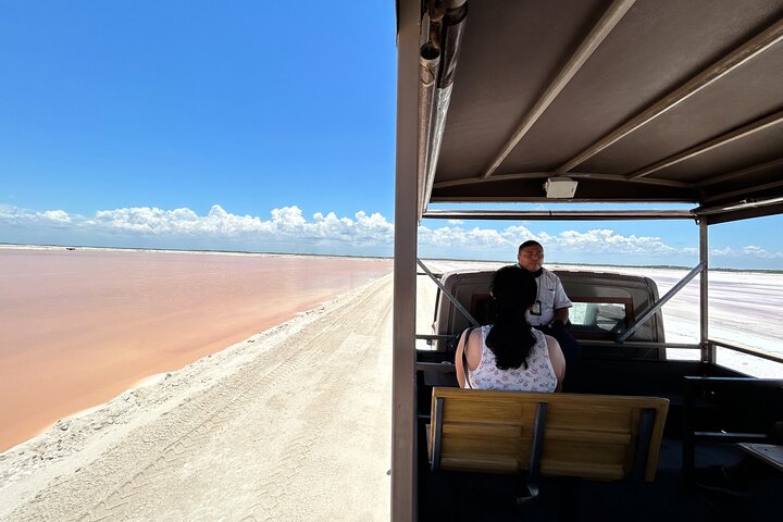 Biglietto d'ingresso al Safari nelle lagune rosa di Las Coloradas
