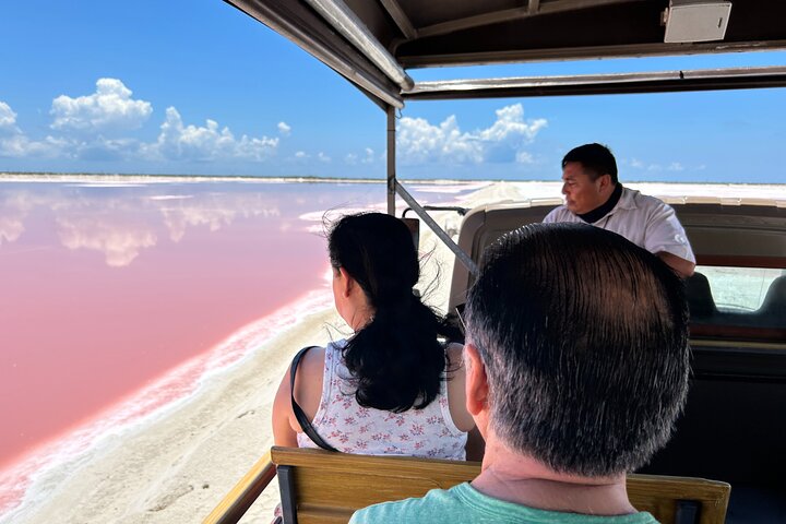 Biglietto d'ingresso al Safari nelle lagune rosa di Las Coloradas