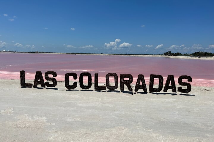 Biglietto d'ingresso al Safari nelle lagune rosa di Las Coloradas