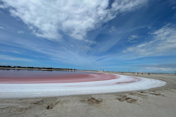 Biglietto d'ingresso al Safari nelle lagune rosa di Las Coloradas