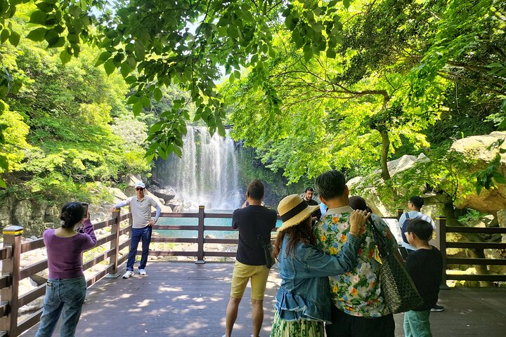 Tour privado de un día en el sur y el oeste en la isla de Jeju