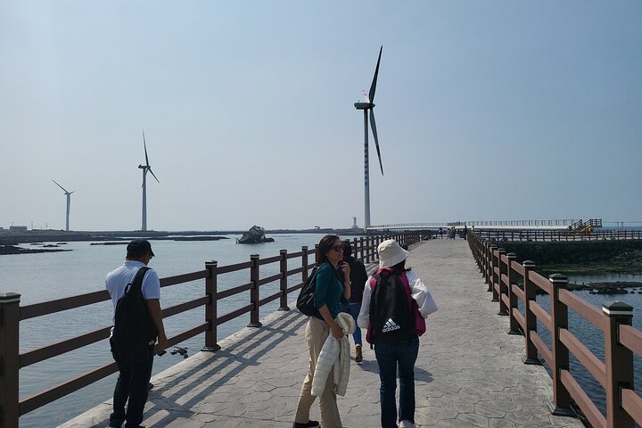 Tour privado de un día en el sur y el oeste en la isla de Jeju