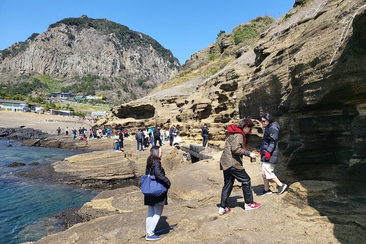 Tour privado de un día en el sur y el oeste en la isla de Jeju