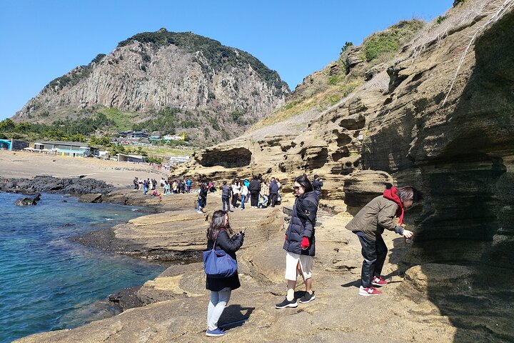 Tour privado de un día en el sur y el oeste en la isla de Jeju