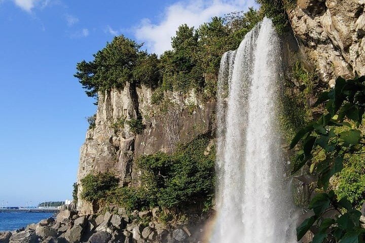 Tour privado de un día en el sur y el oeste en la isla de Jeju