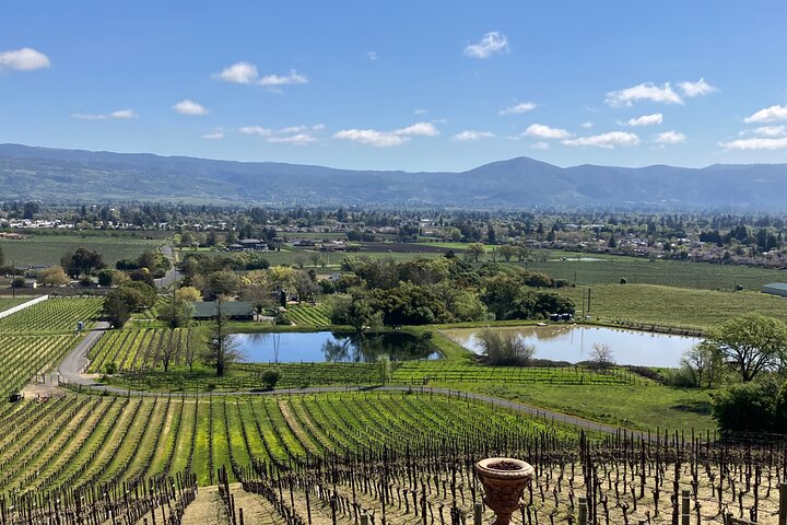 "Melhor Tour Privado de Vinhos de Napa ou Sonoma para até 8 Pessoas"
