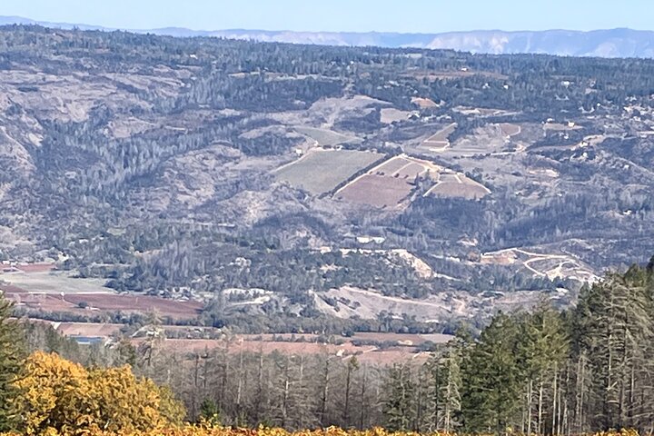 "Melhor Tour Privado de Vinhos de Napa ou Sonoma para até 8 Pessoas"