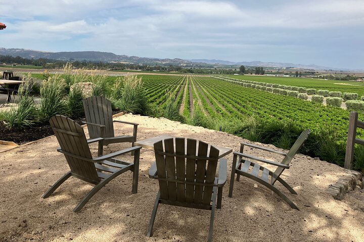 "Melhor Tour Privado de Vinhos de Napa ou Sonoma para até 8 Pessoas"