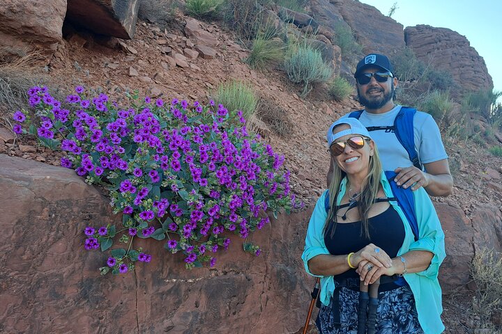 Tour guidato privato di mezza giornata del Grand Canyon