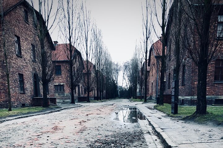 Auschwitz-Birkenau guidad tur med privat transport från Krakow
