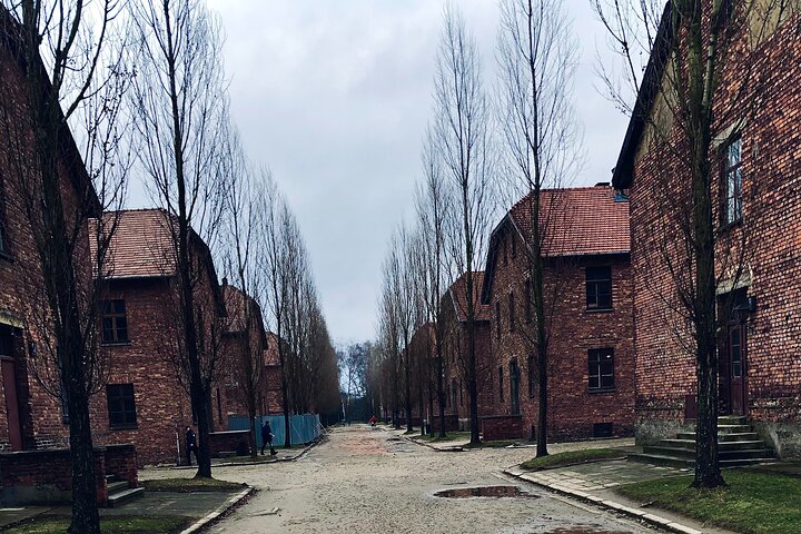 Auschwitz-Birkenau guidad tur med privat transport från Krakow