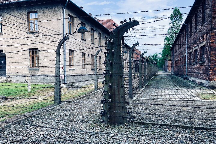 Auschwitz-Birkenau guidad tur med privat transport från Krakow