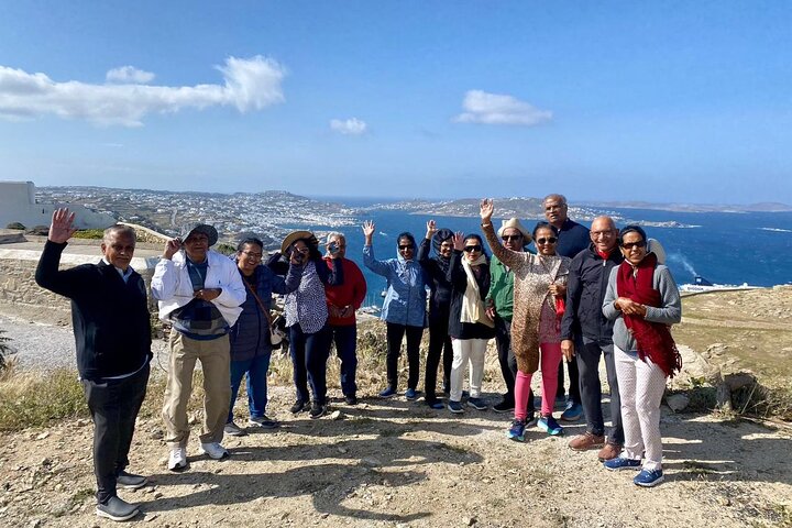 Excursión por la costa de Mykonos con recogida en la terminal de cruceros