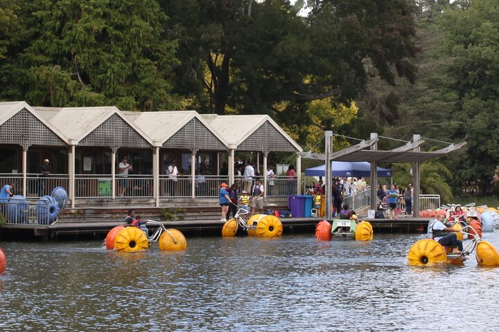 Recorrido en autobús por el desfile de pingüinos de Puffing Billy y Phillip Island