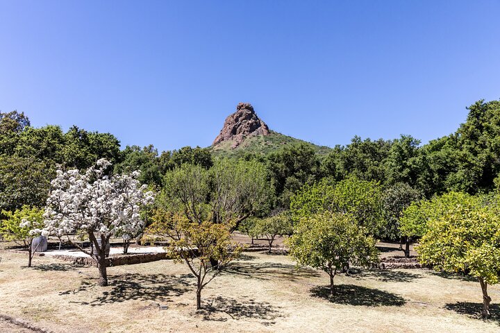 Malibu: escursione guidata ai vigneti con soste fotografiche e vino