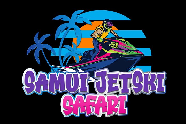 2,5 Stunden Pig Island-Virgin Islands & Schnorchel-Jet-Ski-Safari
