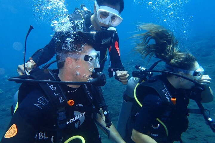 Buceo privado de 4 horas en Tulamben USAT Liberty Ship Wreck and Coral