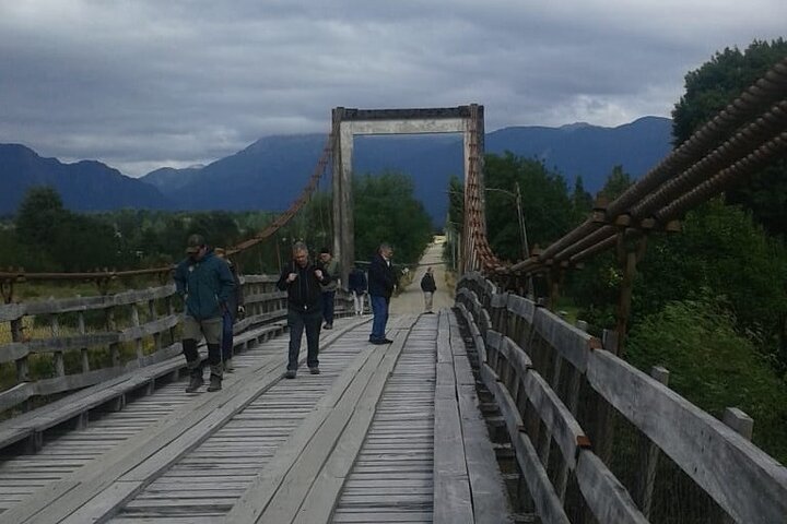 Pioneer Tour: kustexcursie vanuit Puerto Chacabuco
