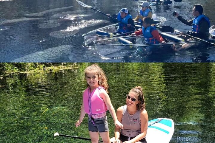 Silver Springs Clear Kayak Manatí, Mono y Vida Silvestre Aventuras