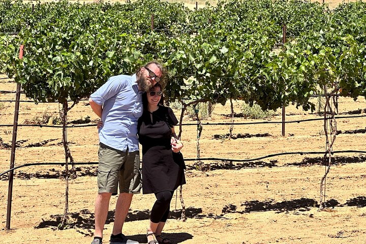Hoteller i nærheden af Scenic Desert Wine Distillery Brewery Route 66 Tour