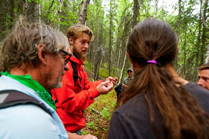 Denali Park Nature Walk (3 horas) w / naturalista especialista