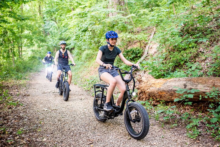 Giro turistico di 3 ore in bici elettrica e birrifici a Roanoke