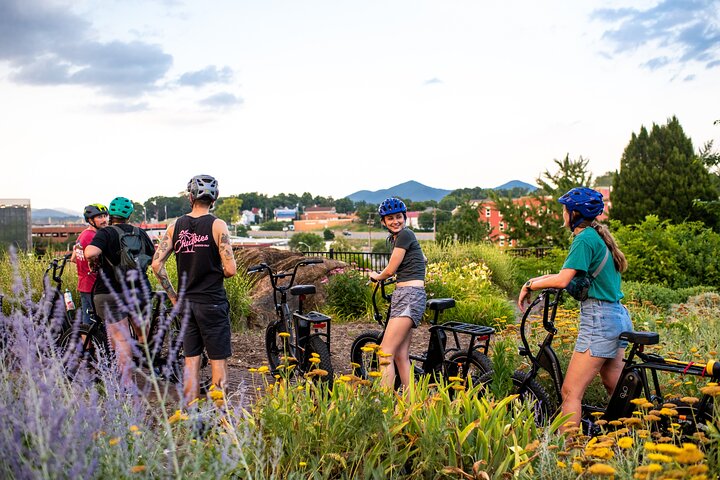 Giro turistico di 3 ore in bici elettrica e birrifici a Roanoke