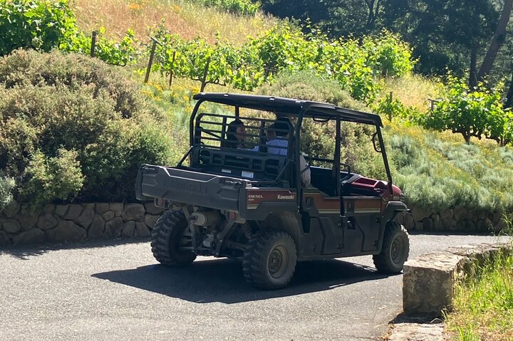"Melhor Tour Privado de Vinhos de Napa ou Sonoma para até 8 Pessoas"