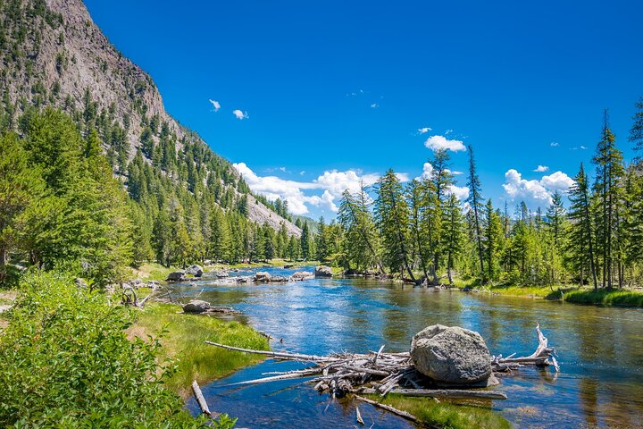 Tours de audio definitivos: Yellowstone, Glaciar, Grand Teton y Banff