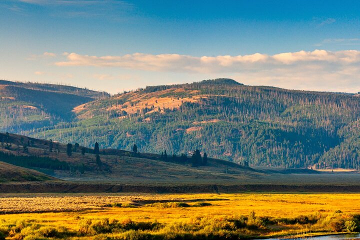 Tours de audio definitivos: Yellowstone, Glaciar, Grand Teton y Banff