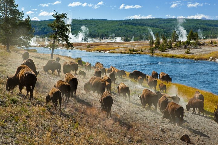 Tours de audio definitivos: Yellowstone, Glaciar, Grand Teton y Banff