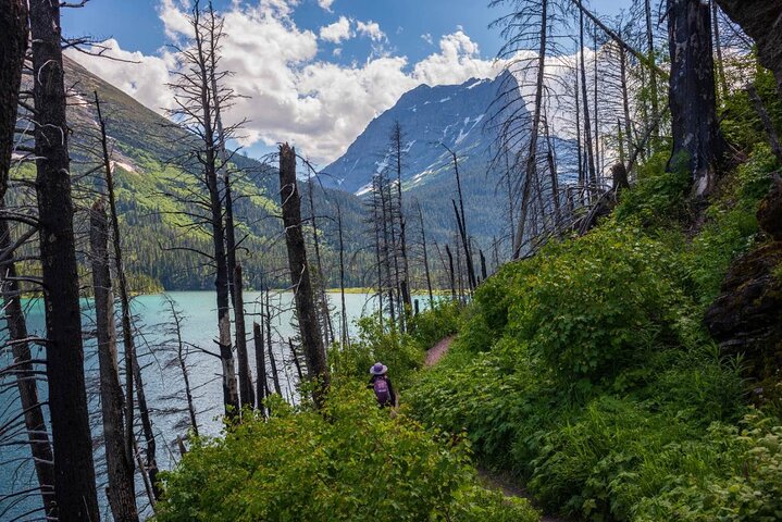 Tours de audio definitivos: Yellowstone, Glaciar, Grand Teton y Banff