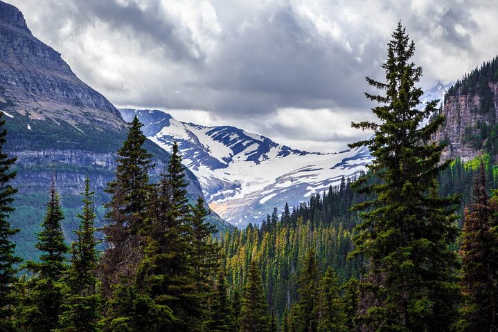 Tours de audio definitivos: Yellowstone, Glaciar, Grand Teton y Banff
