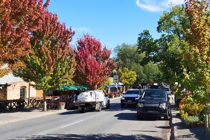 Hahndorf & Barossa & Maggie Beers (2 wijnhuizen en lunch inbegrepen)