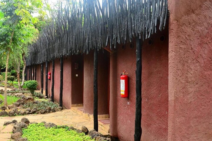3 dagars Amboseli med flyg från Mombasa / Diani (minst 2 personer)