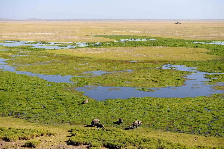 3 dagars Amboseli med flyg från Mombasa / Diani (minst 2 personer)